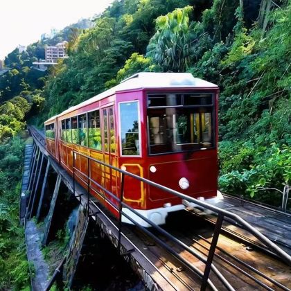 香港+澳门4日3晚拼小团