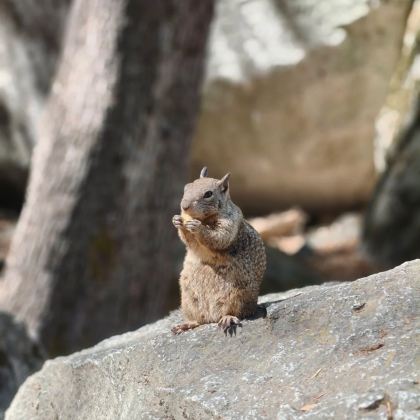 美国12日10晚私家团