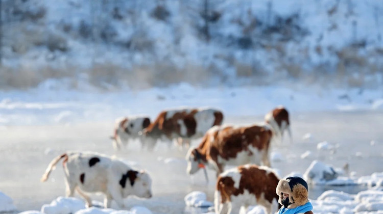 承德+乌兰布统+木兰围场+塞罕坝+坝上+古北水镇5日4晚私家团·<行程可调·免费定制·咨询客服领至高500/单>『甘丹驼城·雪原滑雪丨冬季雪屋搭建』「乌兰布统越野车专线·多彩蛤蟆坝」『皇家园林·避暑山庄』