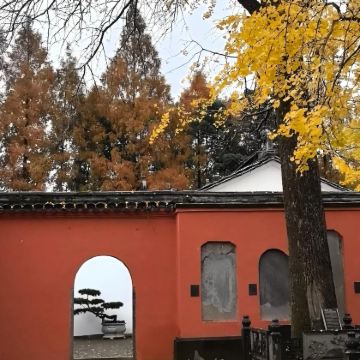 衢州+丽水+仙居+温州8日7晚私家团