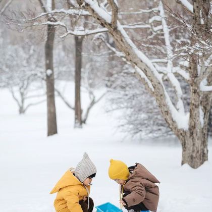 承德+坝上+乌兰布统旅游区5日4晚自由行