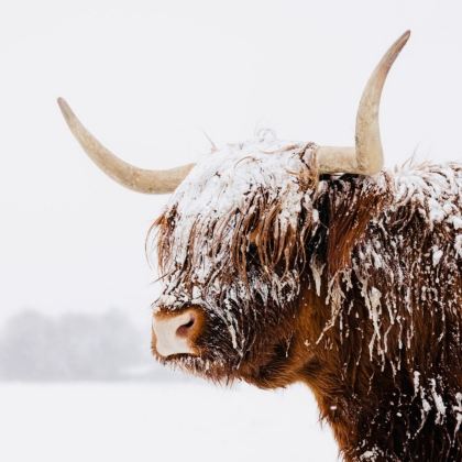 英国伦敦+剑桥+温德米尔+爱丁堡+约克+苏格兰高地+天空岛+七姐妹悬崖12日11晚拼小团