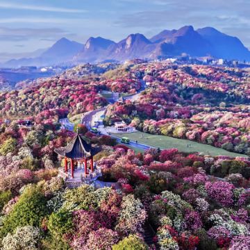 贵州毕节+百里杜鹃风景区2日1晚私家团