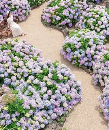 6D5N • A great travel destination: Jeju Island, South Korea