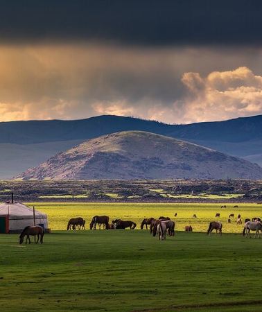 7D6N • 7-Days Central Mongolia Tour and Ancient city in Kharkhorin