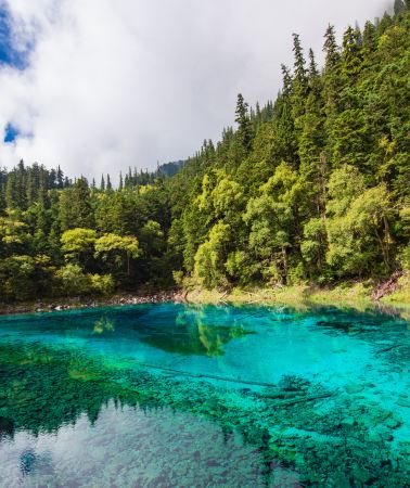 6D5N • Chengdu + Chongqing + Panda Base + Dujiangyan + Mount Qingcheng + Sanxingdui Museum: 5-diamond hotel, business coach travel & exclusive 1-on-1 butler service