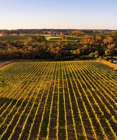 2D1N • Margaret River Escape 2-Day Tour: Wine, Nature & Adventure