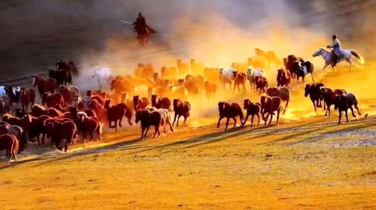 7-Day Beijing, Chengde & Ulan Butong Grassland  Discover Imperial Heritage, Majestic Great Wall, Charming Water Town and Vast Grassland in One Unforgettable Journey