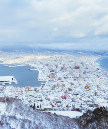 6 วัน 4 คืน • GO2CTS-TG083 HOKKAIDO HAKODATE SNOW WINTER 6D 4N โดยสายการบินไทย [TG]