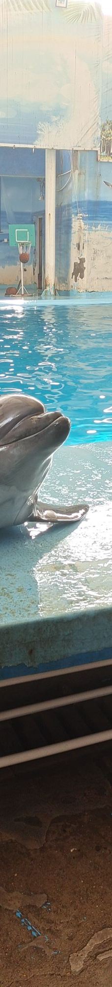 南昌动物园-南昌