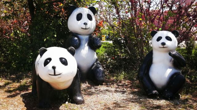 青岛西海岸生态观光园旅行图片 5