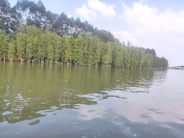 华阳湖国家湿地公园旅行图片 6