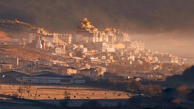 6-Day Yunnan Tour from Lijiang· Dali, Shangri-La, Tiger Leaping Gorge, Pudacuo National Forest Park, Songzanlin Temple, Jade Dragon Snow Mountain