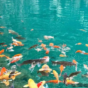 桐庐+琴溪香谷景区+瑶琳仙境+桐庐富春江3日2晚私家团