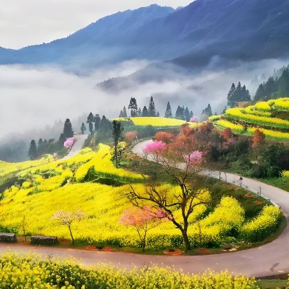 中山+中山詹园+云梯山花海+田心森林公园+中山温泉+古董车博物馆+中山红博城5日4晚私家团