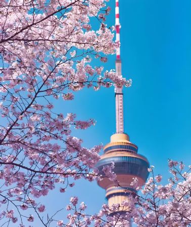 5D4N•Beijing + The Palace Museum + Temple of Heaven + Summer Palace + Prince Kung's Palace Museum