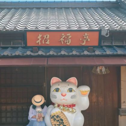 日本名古屋+飞驒高山+白川乡5日4晚私家团