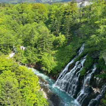 日本北海道札幌+登别+洞爷湖町+函馆+小樽+富良野+美瑛町+旭川+泷野铃兰丘陵公园+白色恋人公园+洞爷湖游览船+四季彩之丘+登别樱花道+五棱郭公园10日9晚私家团