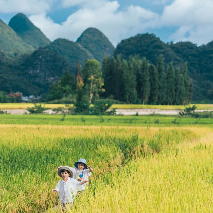 贵阳+黄果树景区+荔波小七孔景区+西江千户苗寨+兴义+马岭河峡谷景区+万峰林景区+万峰湖6日5晚私家团