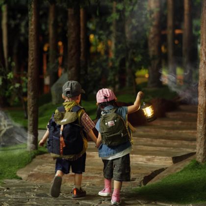 郴州+张家界+张家界国家森林公园+天门山6日5晚私家团