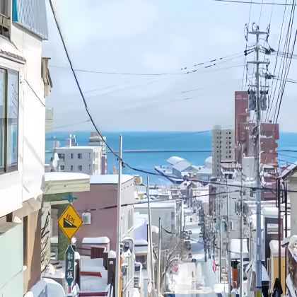 日本东京+富士山2日1晚拼小团