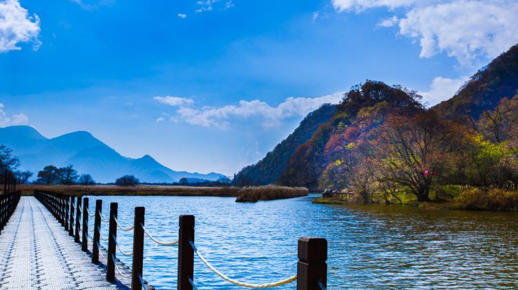 8-day 7-night · Private Tour · Enshi City + Shennongjia + Yichang