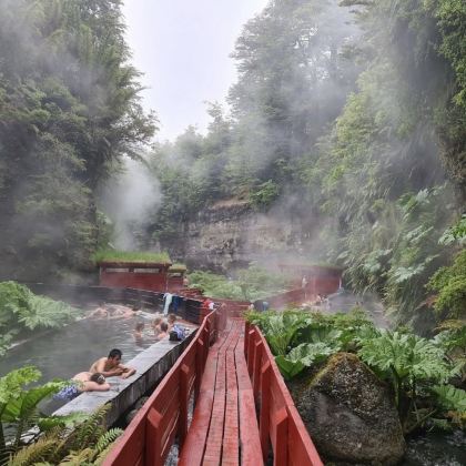 徒步·智利普孔+Reserva Biologica Huilo Huilo+圣地亚哥都主教座堂+聂鲁达故居（赛巴斯提安那）9日8晚私家团