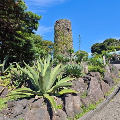 东京+富士山+日立市5日4晚跟团游