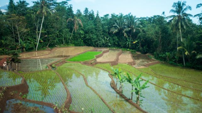 9-Day Best of Java Tour from Jakarta to Sanur · Bandung, Yogyakarta, Ngadas, Malang, Sanur