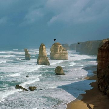 澳大利亚16日14晚拼小团