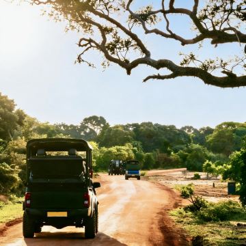 斯里兰卡4日3晚私家团