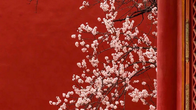 北京研学旅游新风尚：珈程研学如何以专业靠谱定义行业标杆