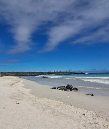 4D3N • 4-Day Santa Cruz Galapagos and Wildlife Adventure