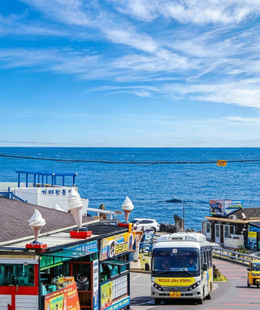 8D7N • 8-Day South Korea In-Depth Discovery Tour: Everland + Lotte World Tower + Teddy Bear Museum + Nami Island + Jeju Haenyeo Experience 