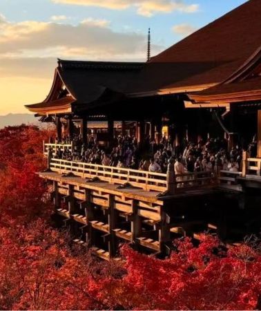 10D9N • Tokyo to Osaka: 10-Day Autumn Foliage Private Car Tour