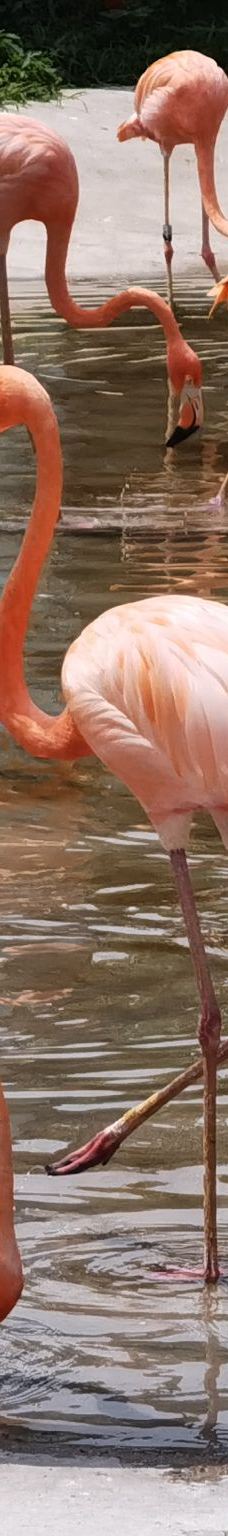 秦皇岛野生动物园-秦皇岛