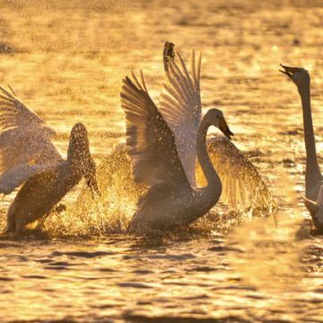 威海4日3晚跟团游