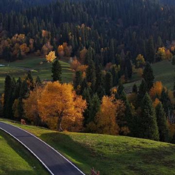 新疆乌鲁木齐+北疆+喀纳斯景区+赛里木湖+那拉提+吐鲁番10日9晚自由行