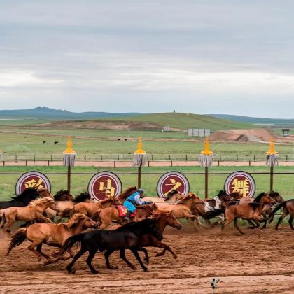 蒙古乌兰巴托+成吉思汗骑马雕像+特日勒吉国家公园3日2晚自由行