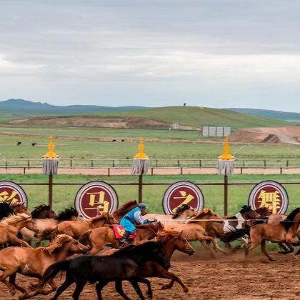 蒙古乌兰巴托+成吉思汗骑马雕像+特日勒吉国家公园3日2晚自由行