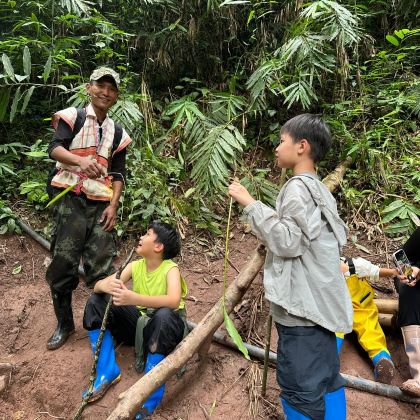 亲近自然·云南西双版纳1日亲子营【亲子雨林生态研学拾趣】西双版纳基诺山雨林徒步，攀爬巨树、丛林秋千、雨林野餐、奇花异果。闯入绿野仙踪，对话大自然缤纷生命，感受原始纯粹的自然探索，