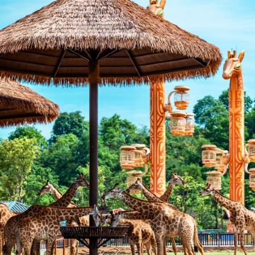 广东广州+广州长隆旅游度假区4日3晚跟团游