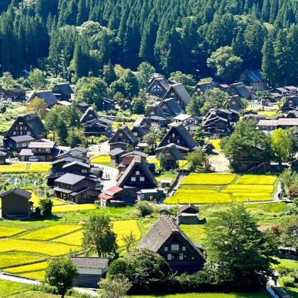 日本名古屋+飞驒高山+白川乡+上高地5日4晚私家团