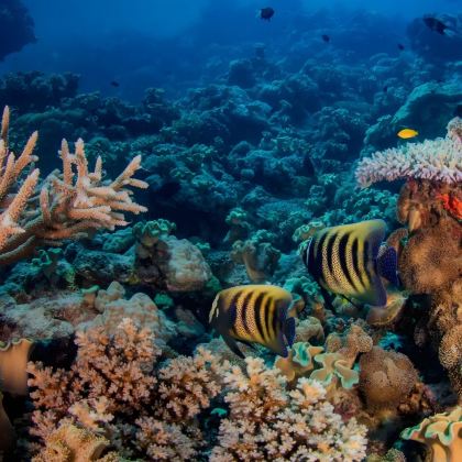 澳大利亚+黄金海岸+布里斯班11日9晚拼小团