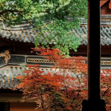 宁波+普陀山+南海观音3日2晚跟团游