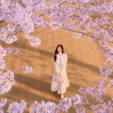 韩国首尔+南怡岛4日3晚私家团