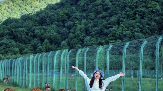 神农架、宜昌+5