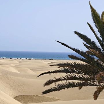 大加那利岛+特内里费岛+马德里9日8晚自由行