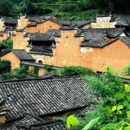 丽水+松阳+陈家铺村+杨家堂村+大木山茶园景区+箬寮原始林3日2晚拼小团