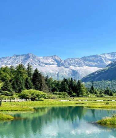 3天2晚 • 畢棚溝＋達古冰川風景區＋四姑娘山景區「7人小團＆含首道門票」＋「藏式下午茶＆打卡雪山咖啡廳＆達古冰川風景區領隊帶玩」